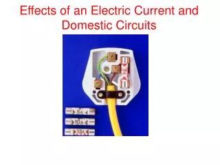 Effects of an Electric Current and Domestic Circuits