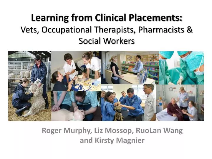learning from clinical placements vets occupational therapists pharmacists social workers