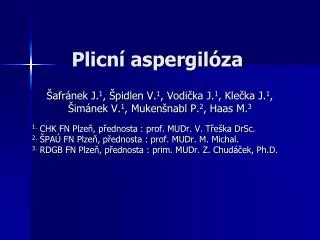plicn aspergil za
