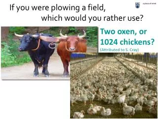 If you were plowing a field, 		which would you rather use?
