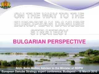 ON THE WAY TO THE EUROPEAN DANUBE STRATEGY