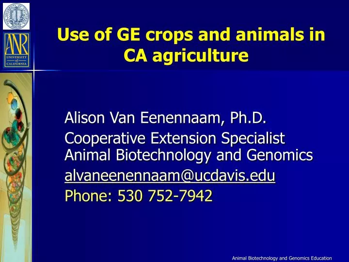 use of ge crops and animals in ca agriculture