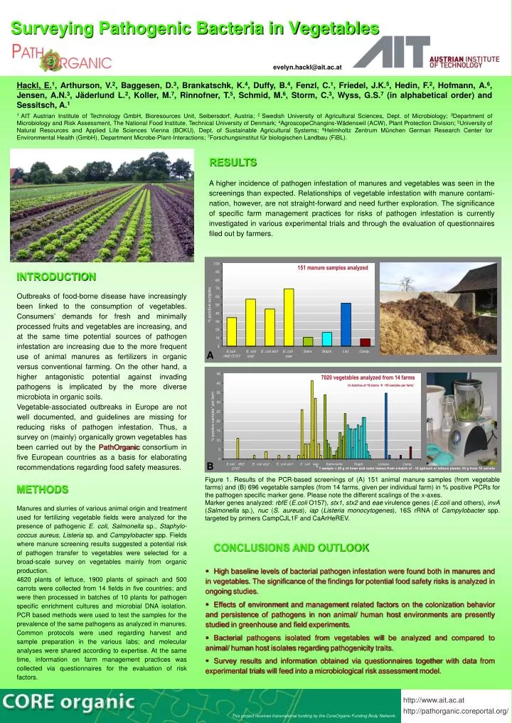 surveying pathogenic bacteria in vegetables