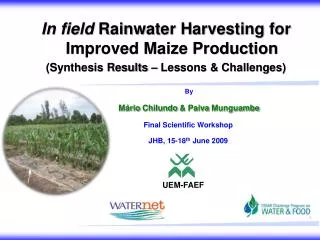 In field Rainwater Harvesting for Improved Maize Production