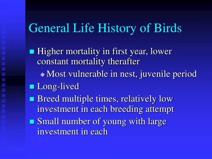 general life history of birds