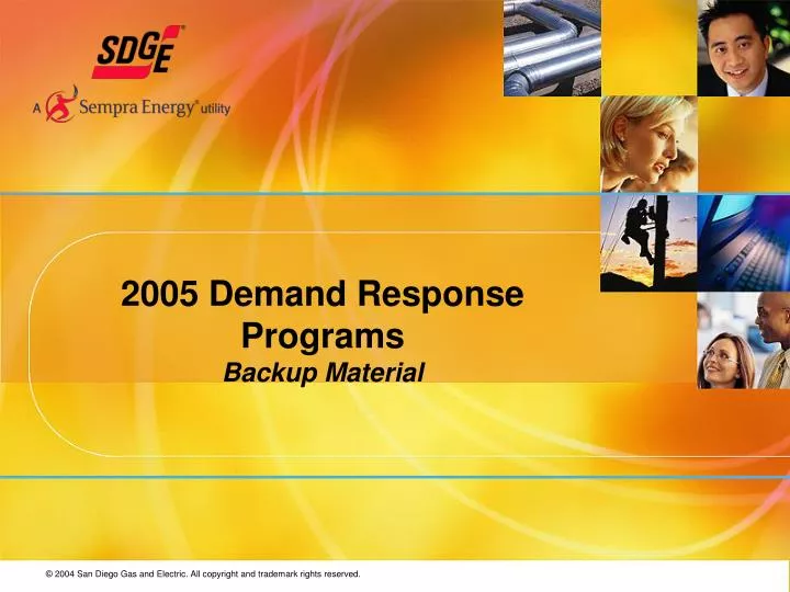 2005 demand response programs backup material