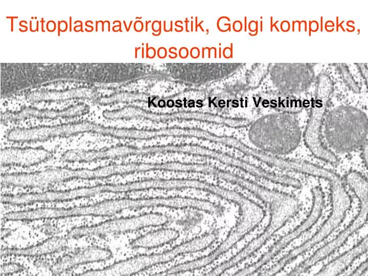 ts toplasmav rgustik golgi kompleks ribosoomid
