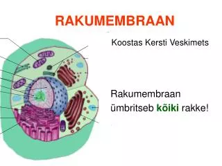rakumembraan