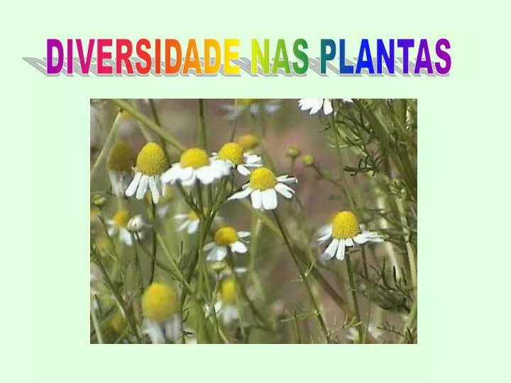 Diversidade sexual vegetal