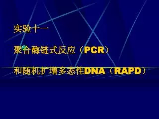 pcr dna rapd