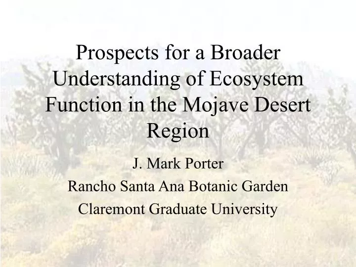 prospects for a broader understanding of ecosystem function in the mojave desert region