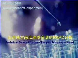 comprehensive experiment