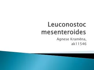 leuconostoc mesenteroides