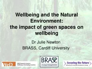 Wellbeing and the Natural Environment: the impact of green spaces on wellbeing