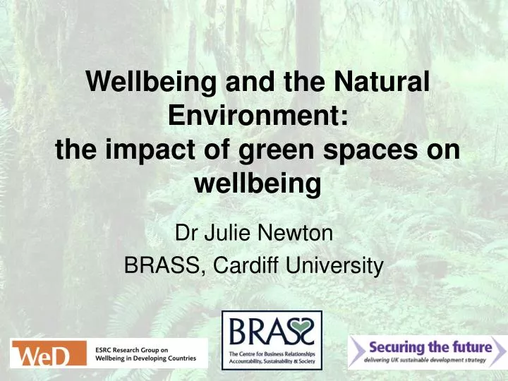 wellbeing and the natural environment the impact of green spaces on wellbeing