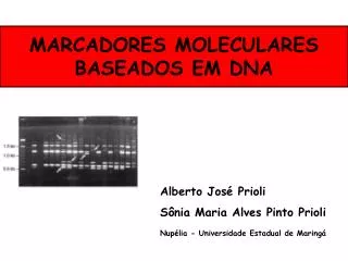 marcadores moleculares baseados em dna