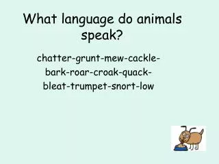 What language do animals speak?