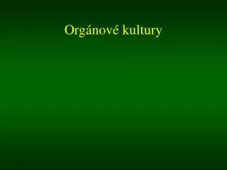 org nov kultury