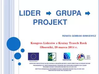 lider grupa projekt