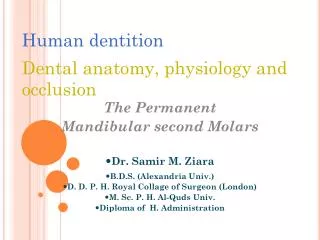 Human dentition Dental anatomy, physiology and occlusion