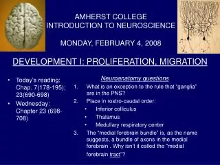 DEVELOPMENT I: PROLIFERATION, MIGRATION