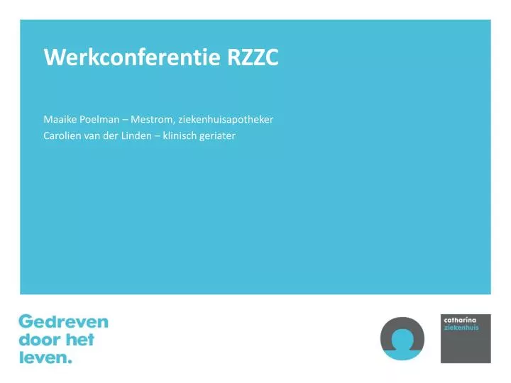 werkconferentie rzzc