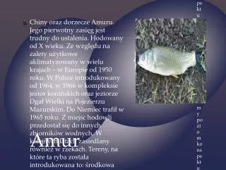 Amur