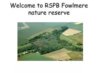 Welcome to RSPB Fowlmere nature reserve