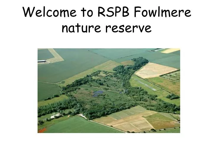 welcome to rspb fowlmere nature reserve