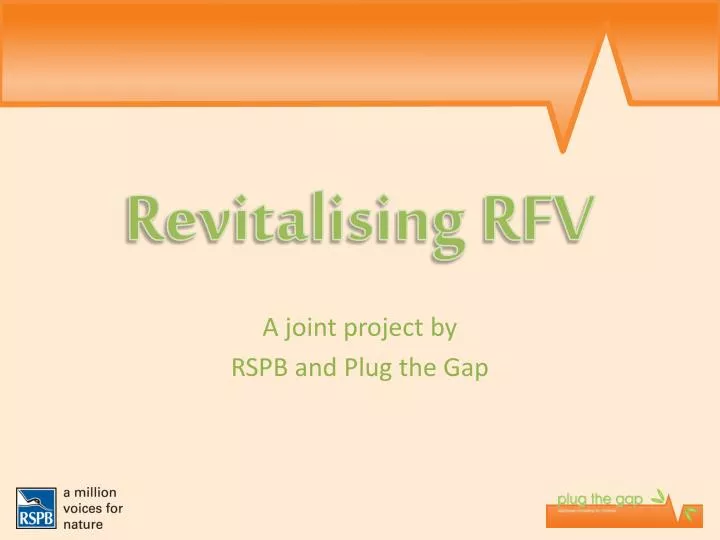 revitalising rfv