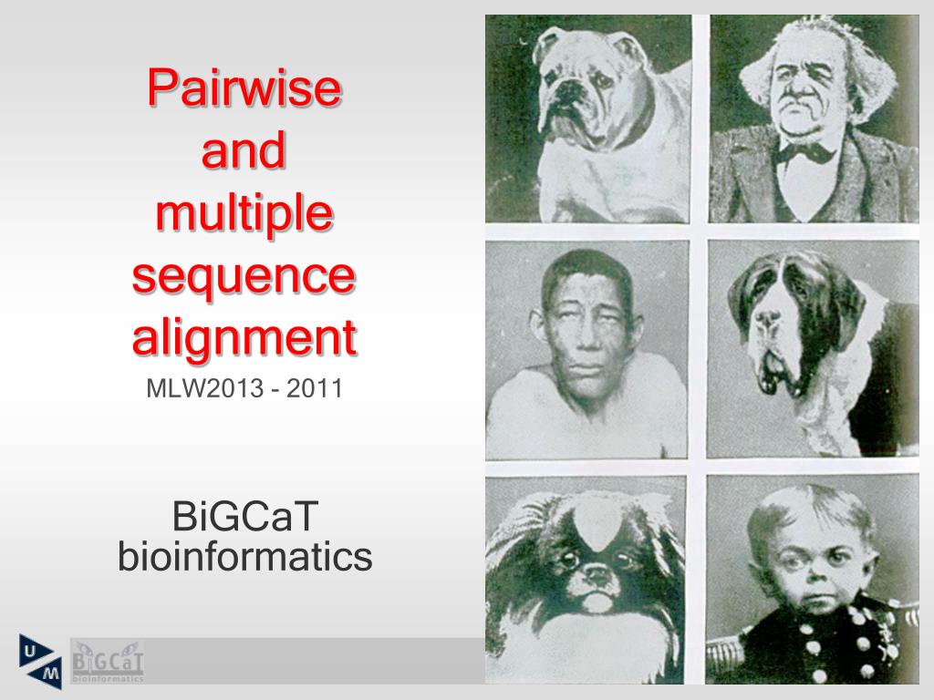 PPT - Pairwise and multiple sequence alignment PowerPoint Presentation ...