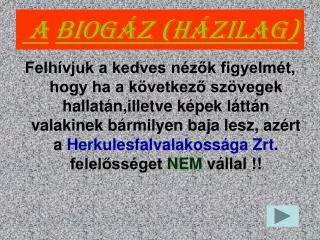 a biog z h zilag