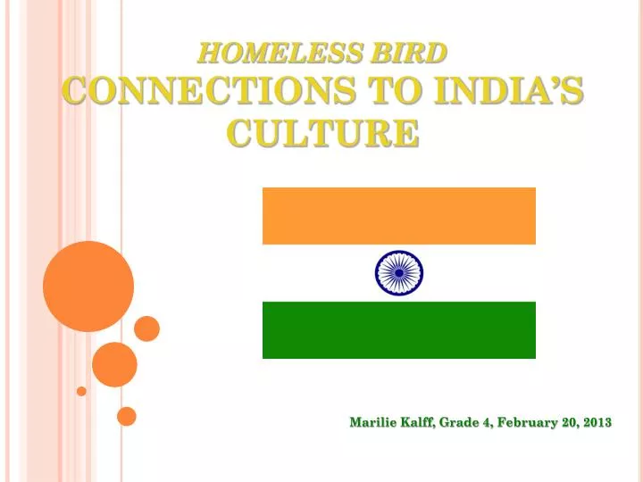 homeless bird connections to india s culture