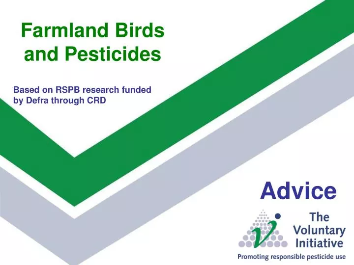 farmland birds and pesticides