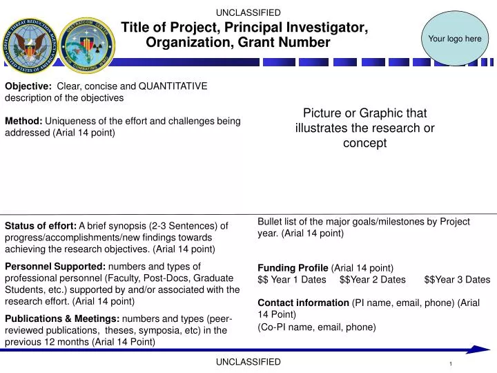 title of project principal investigator organization grant number