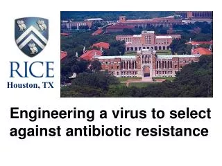 Engineering a virus to select against antibiotic resistance