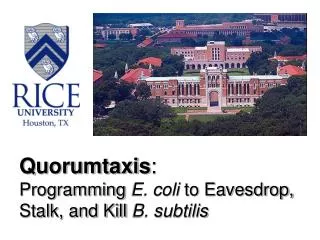 Quorumtaxis : Programming E. coli to Eavesdrop, Stalk, and Kill B. subtilis