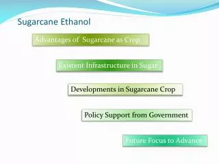 Sugarcane Ethanol