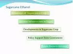 Sugarcane Ethanol - slide 1