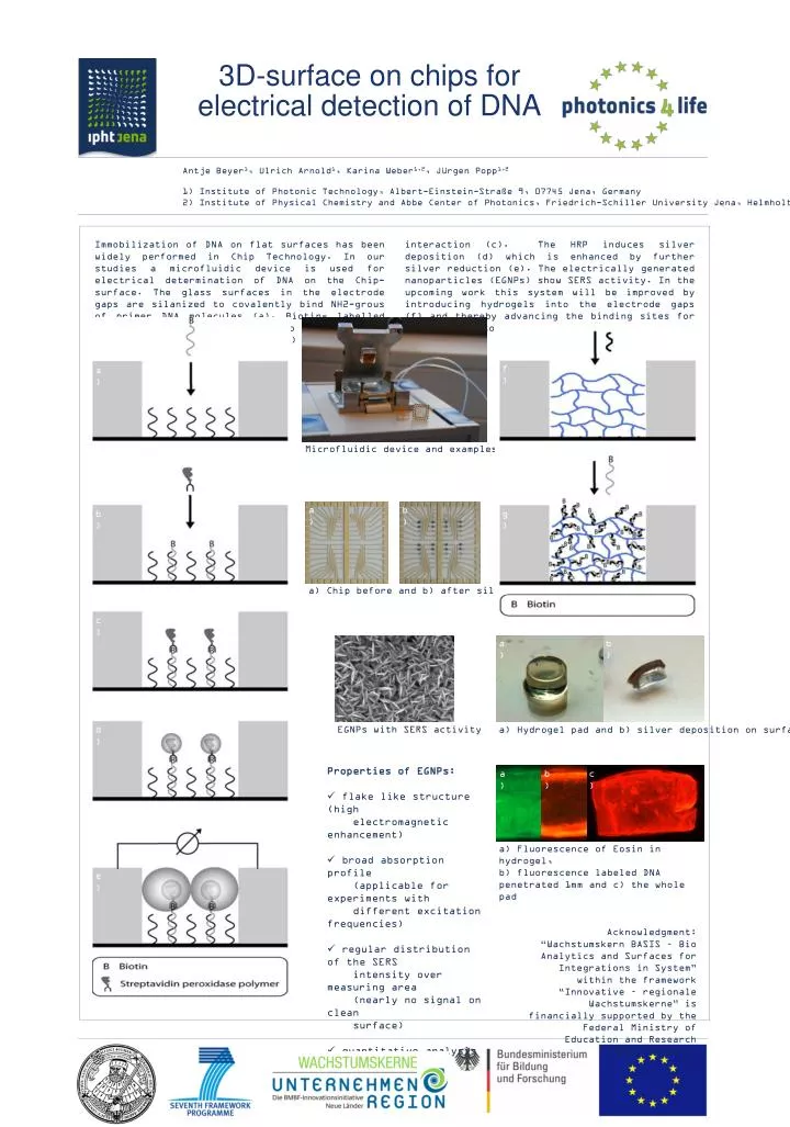 3d surface on chips for electrical detection of dna