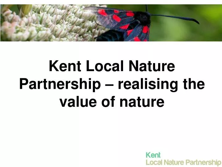 kent local nature partnership realising the value of nature