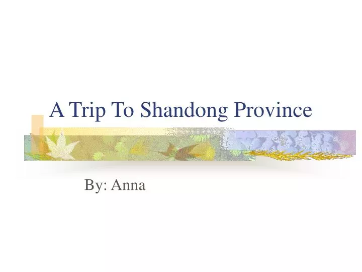 a trip to shandong province