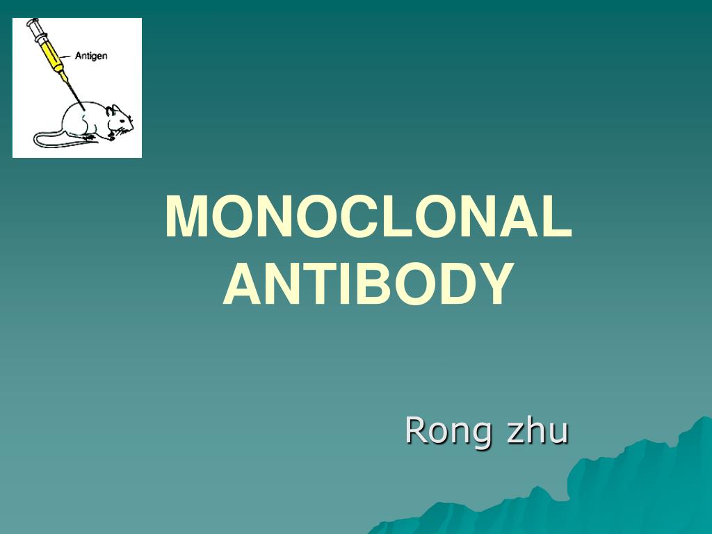 PPT - MONOCLONAL ANTIBODY PowerPoint Presentation, free download - ID ...