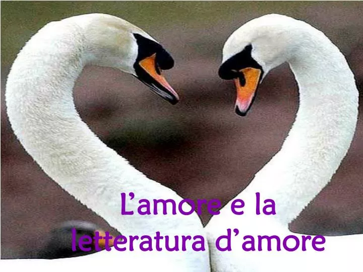 l amore e la letteratura d amore