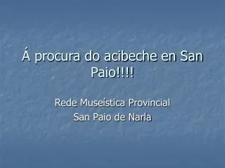 procura do acibeche en san paio