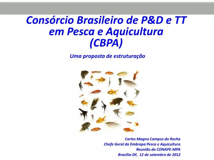 cons rcio brasileiro de p d e tt em pesca e aquicultura cbpa uma proposta de estrutura o