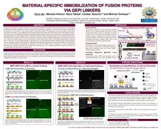 MATERIAL-SPECIFIC IMMOBILIZATION OF FUSION PROTEINS VIA GEPI LINKERS