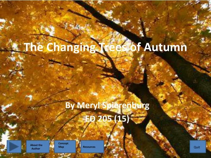 the changing trees of autumn