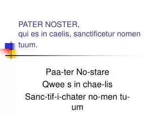 pater noster qui es in caelis sanctificetur nomen tuum