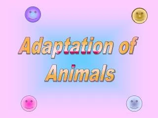 Adaptation of Animals